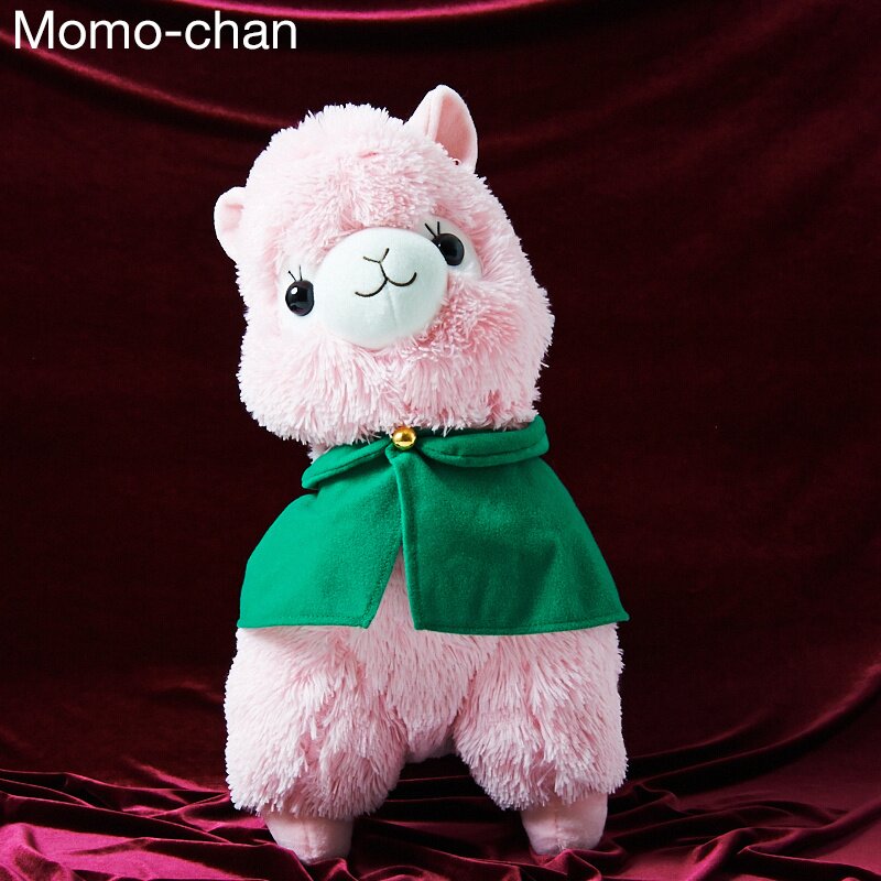 alpacasso collection