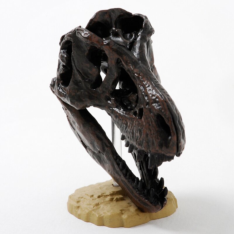 Capsule Q Dinosaur Excavation Chronicle - Tyrannosaurus Rex