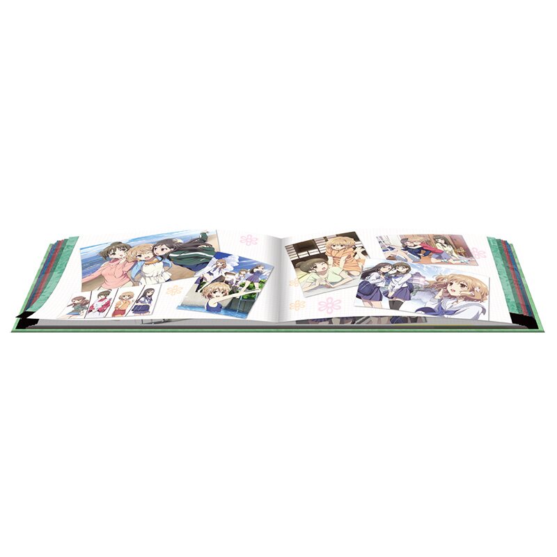 INFINITE STRATOS 2: COMPLETE COLLECTION PREMIUM EDITION BLU-RAY BOX SET  [NEW]