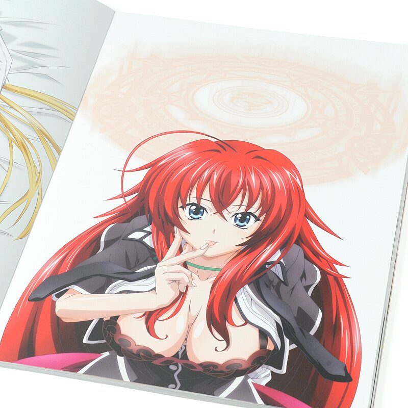 High School DxD Visual Collection - Tokyo Otaku Mode (TOM)