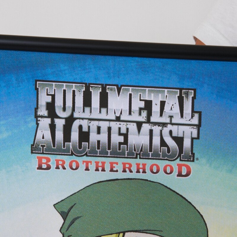 Full Metal Alchemist Brotherhood Anime Cloth Wall Scroll Poster GE