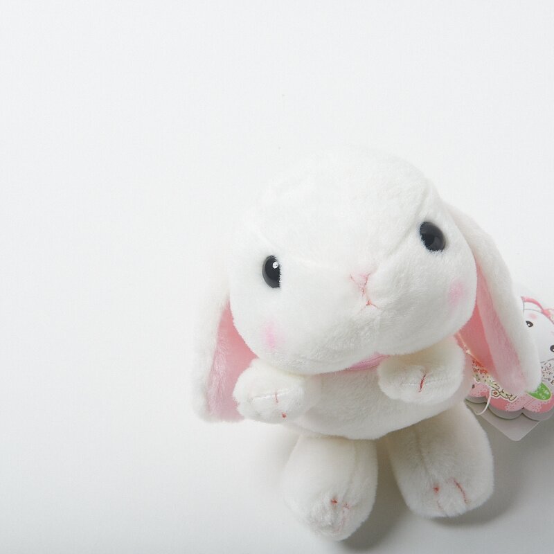 loppy rabbit