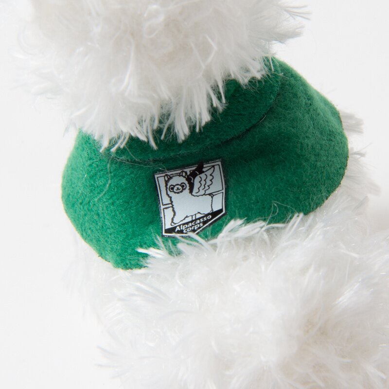alpacasso corps