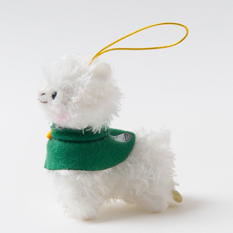 alpacasso corps