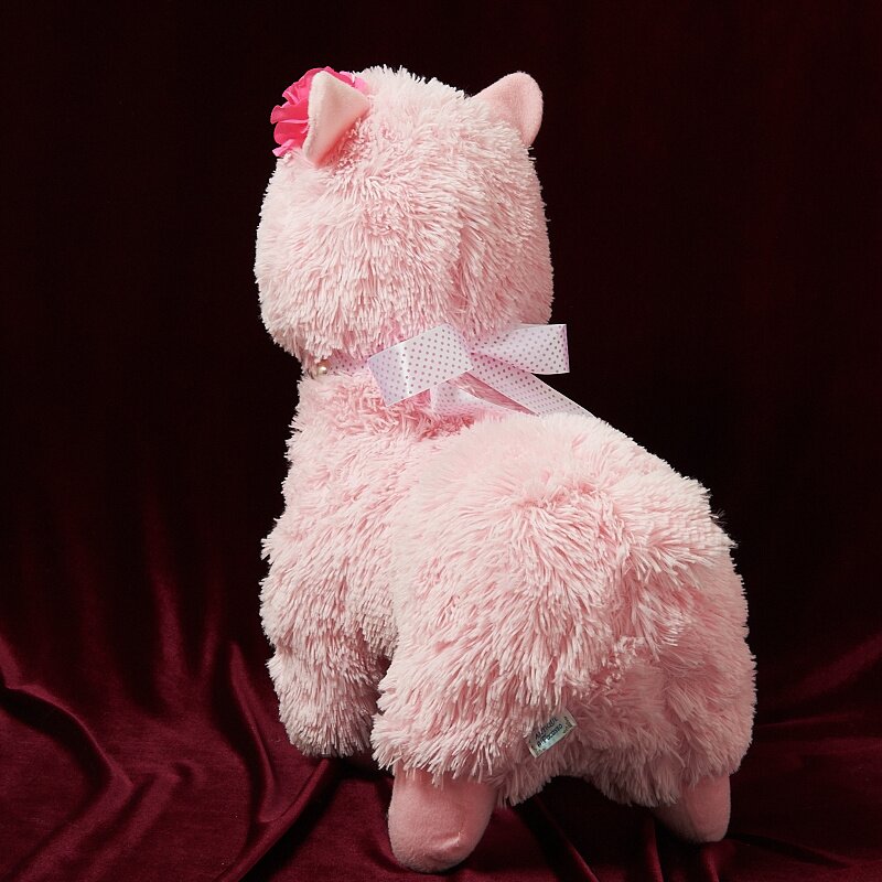 alpacasso collection