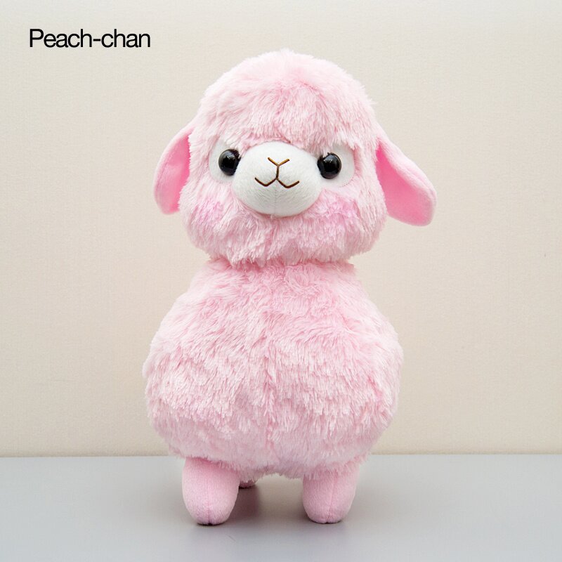 kids alpacasso