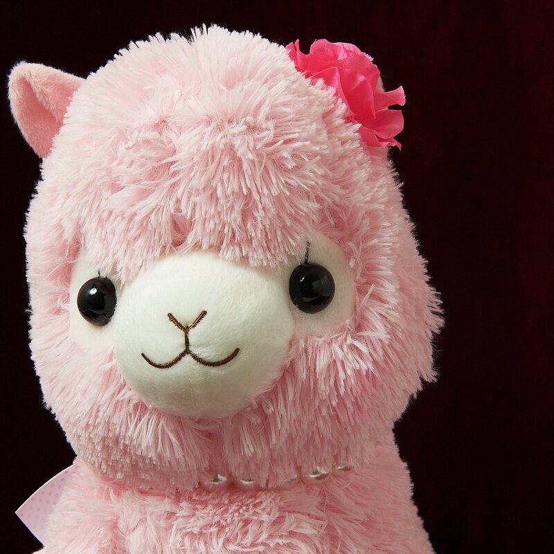 alpacasso collection