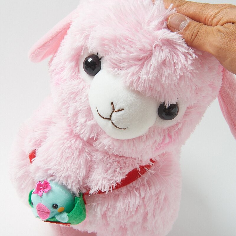 kids alpacasso