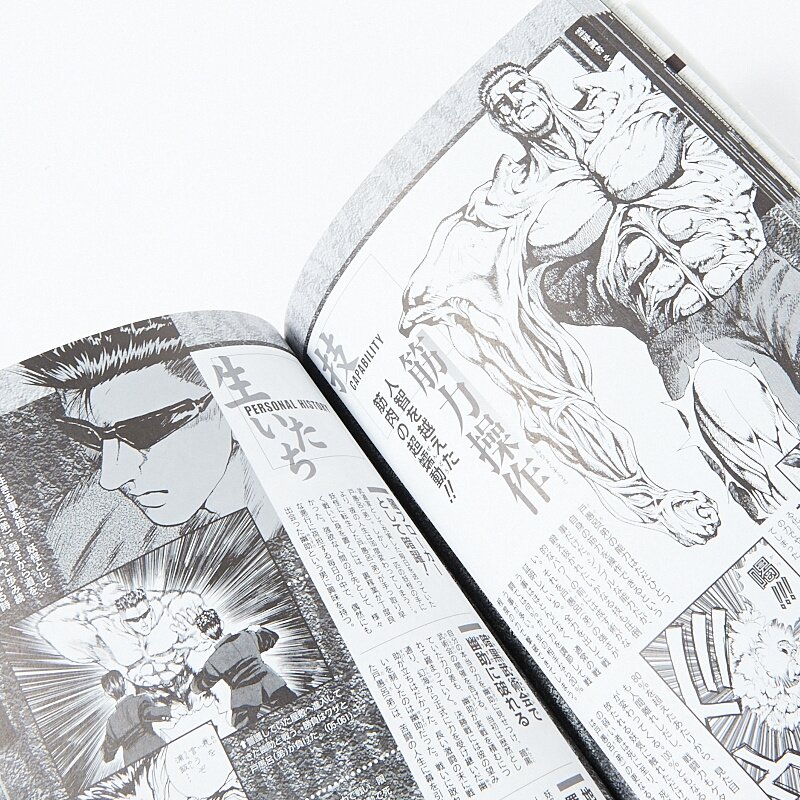 Yu Yu Hakusho Official Character Book Reikaishinshiroku