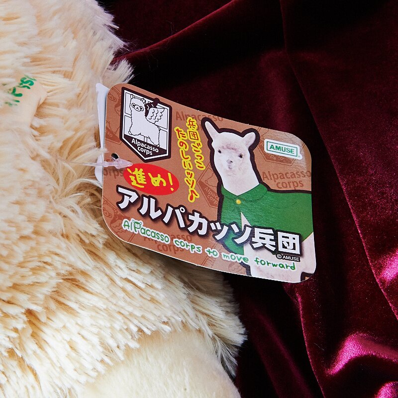 alpacasso corps