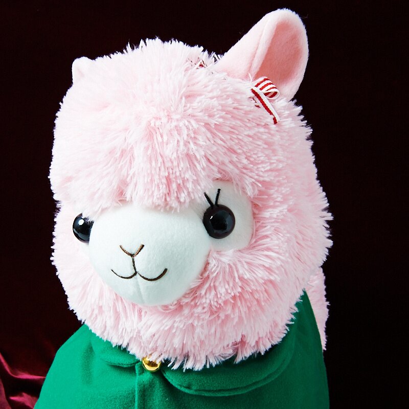 alpacasso corps