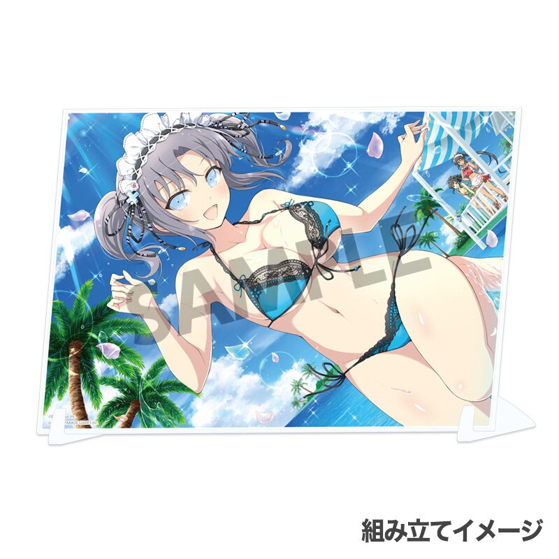 Shinobi Master Senran Kagura: New Link Visual Acrylic Plate