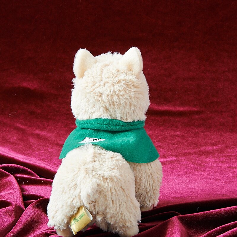 alpacasso corps