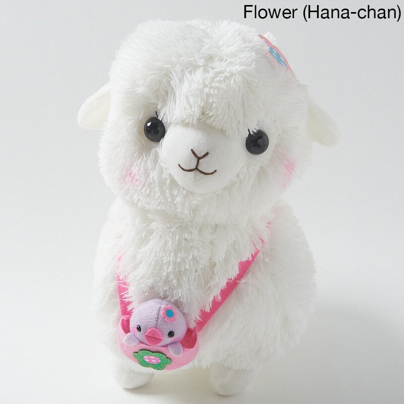 kids alpacasso