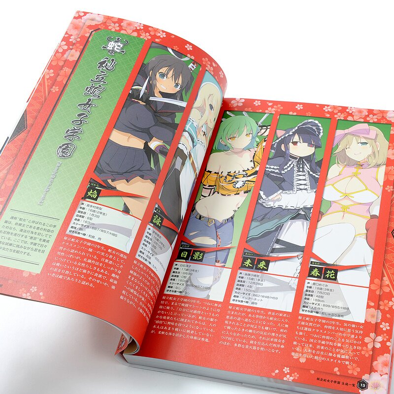 SENRAN KAGURA ESTIVAL VERSUS – Shinobi Summary Art Book