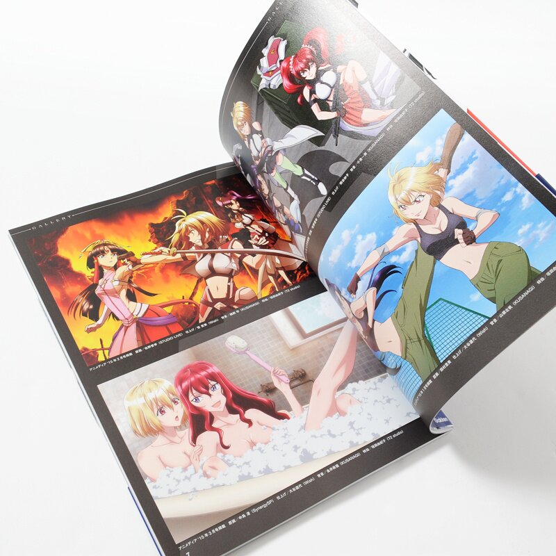 Anime Mook Cross Ange: Rondo of Angel and Dragon Character Actor & VOICE  BOOK, Book