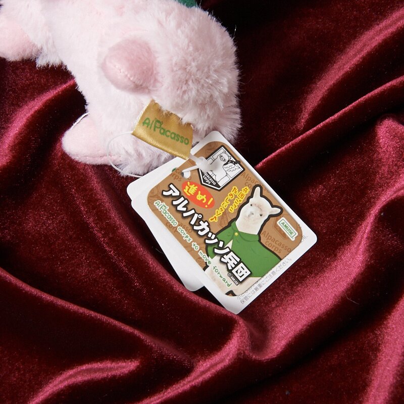 alpacasso corps