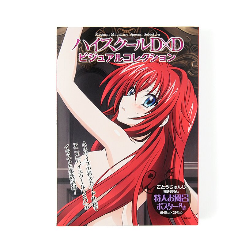 HIGHSCHOOL D X D Visual Collection Art Set Book w/Bath Poster