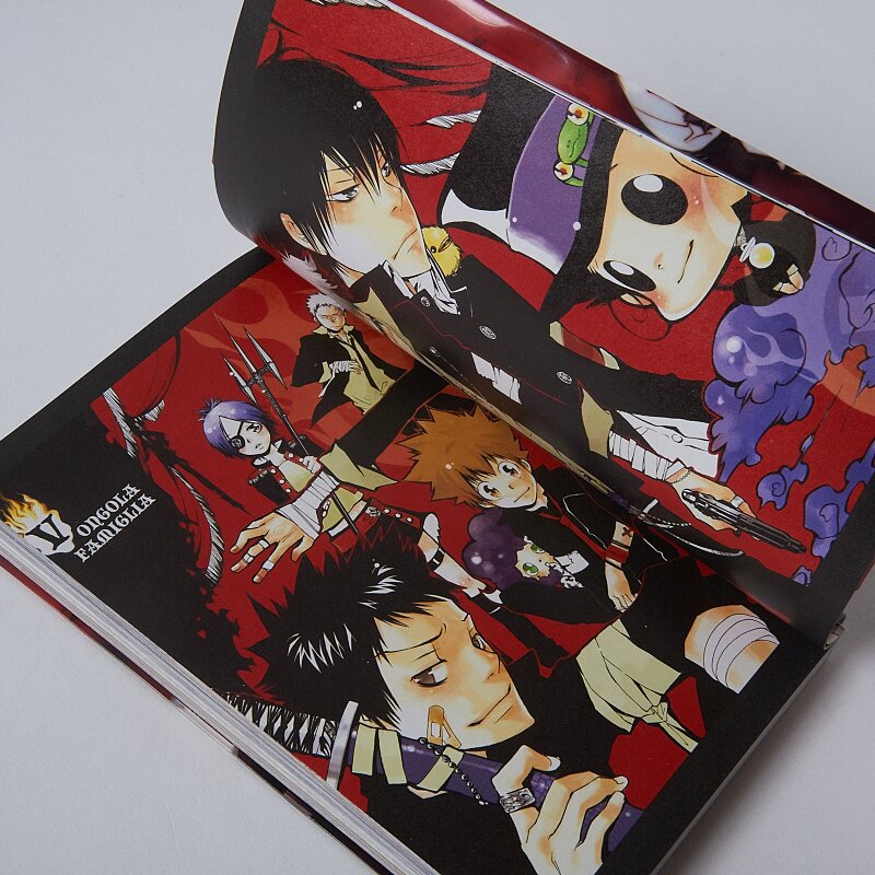 Katekyo Hitman Reborn! Official Visual Book: Reborn Colore! Animation Ver.