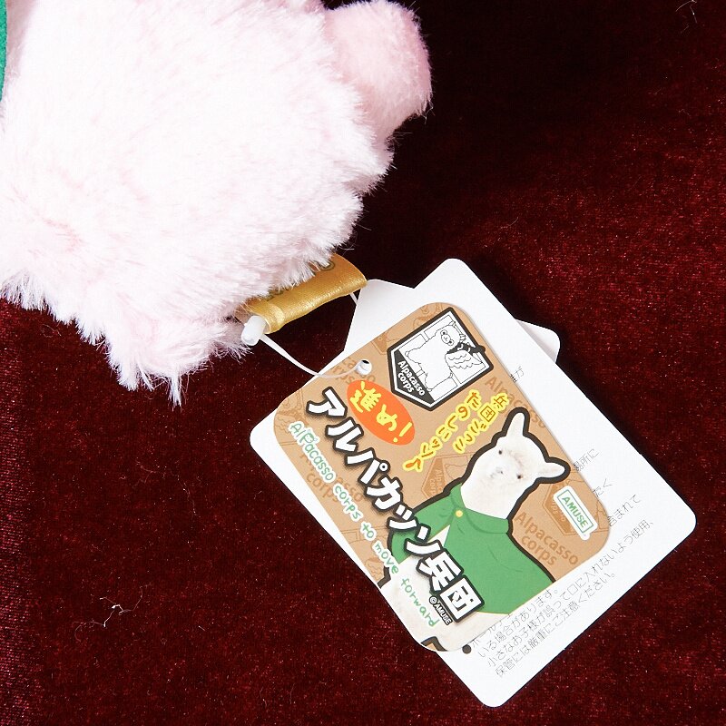 alpacasso corps