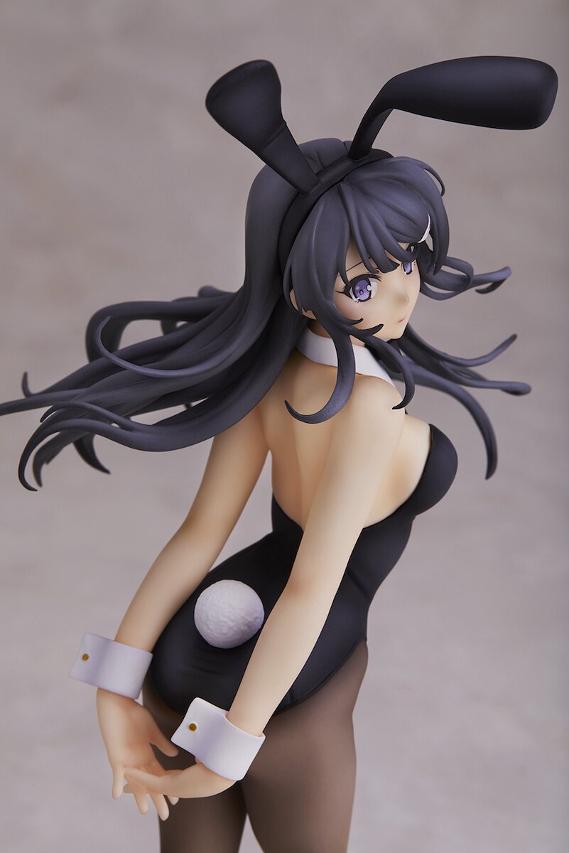 Rascal Does Not Dream of Bunny Girl Senpai] Mai Sakurajima