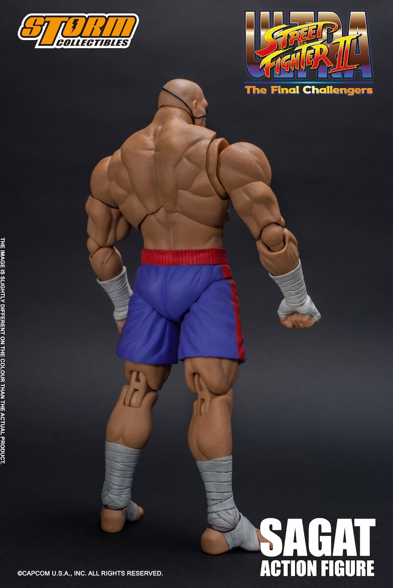 SEP121777 - STREET FIGHTER 1/4 SCALE SAGAT STATUE - Previews World