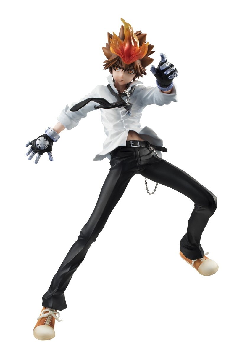 Katekyo Hitman Reborn! Microfiber Reborn & Tsunayoshi Sawada