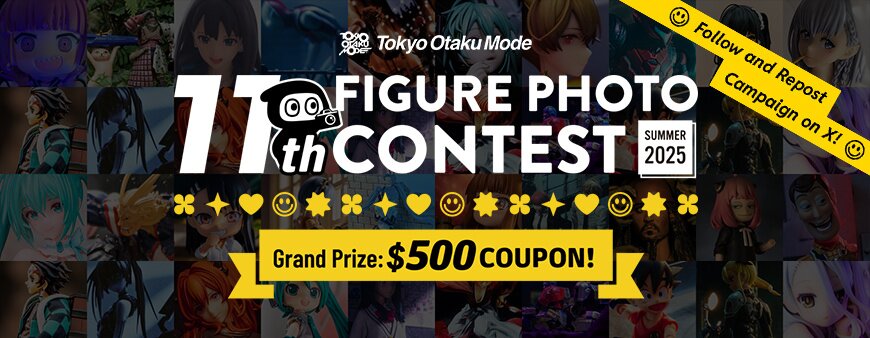 11th Figure Photo Contest