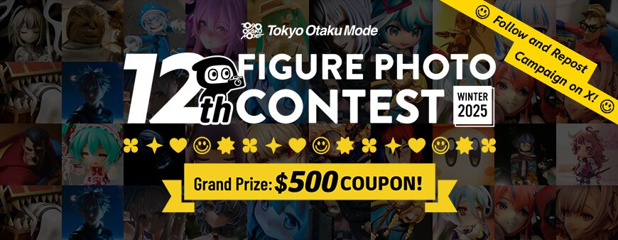 12th Figure Photo Contest
