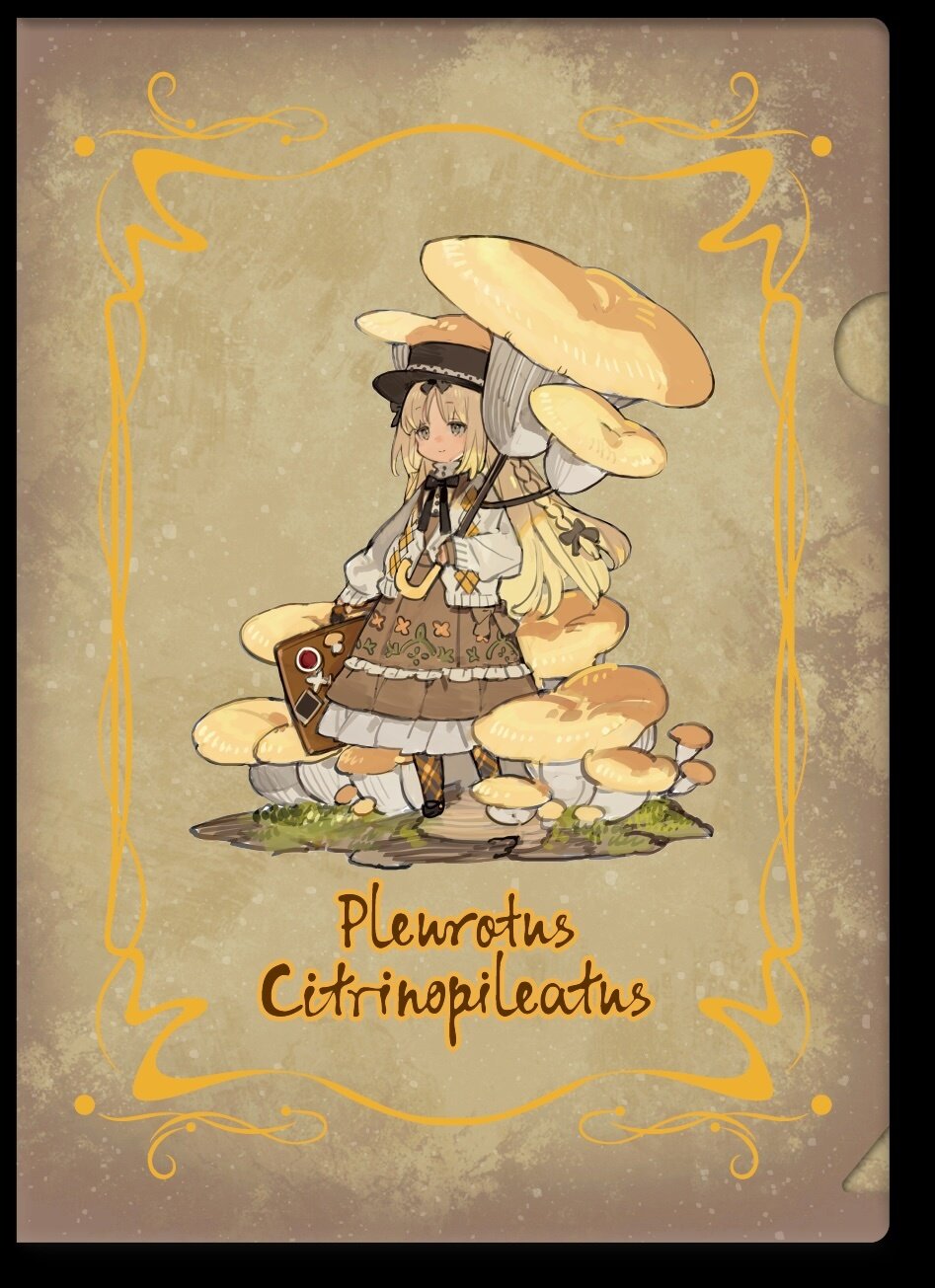 The Mushroom Girls Series No. 3 Pleurotus Citrinopileatus 1