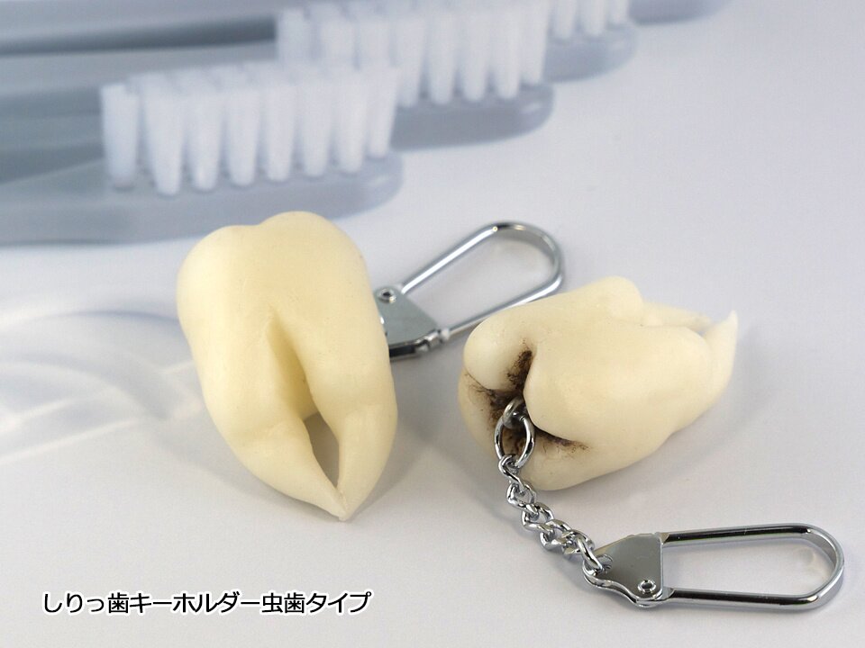 Tooth keychain clearance