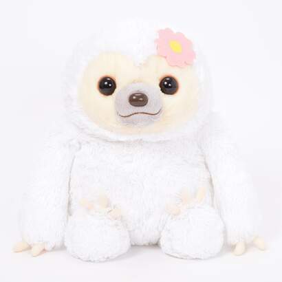 amuse collection sloth