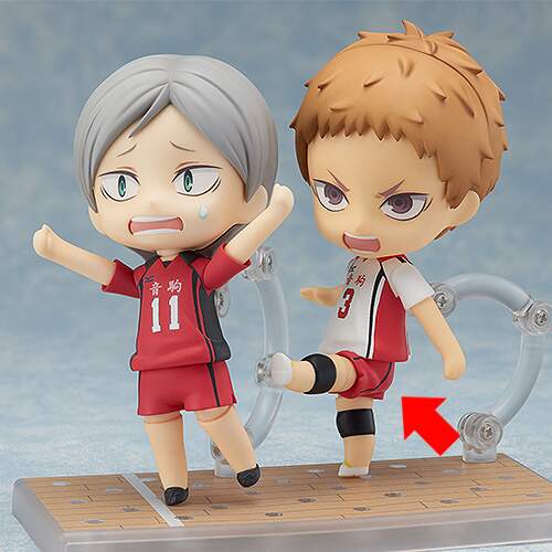 lev haiba merch