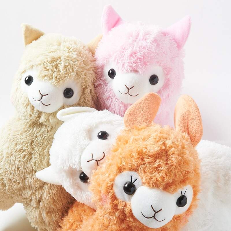 super jumbo alpacasso