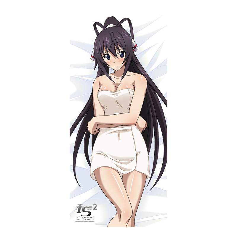 Details about   Infinite Stratos Bikini Playmat Play Mat Trading Card Mouse Pad A197 FREE SHIPPI 