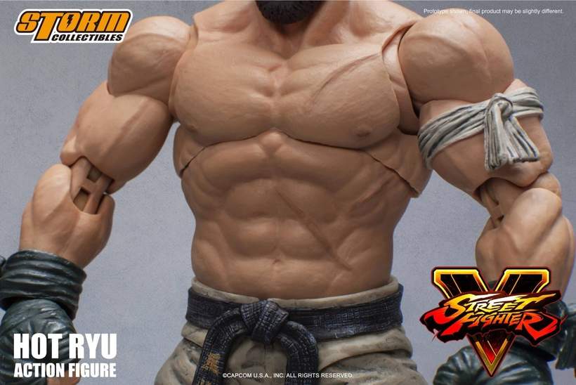 hot ryu storm collectibles