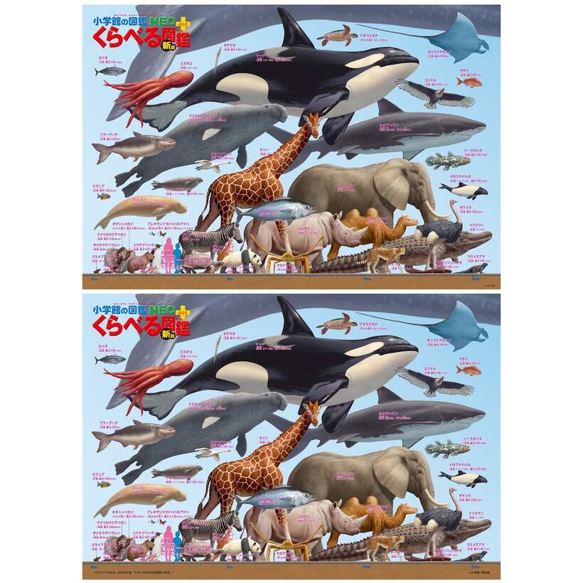 Animal Size Comparison Jigsaw Puzzle Tokyo Otaku Mode Tom