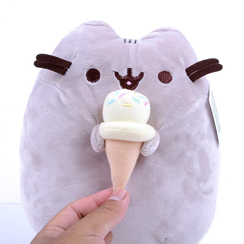pusheen holding ice cream