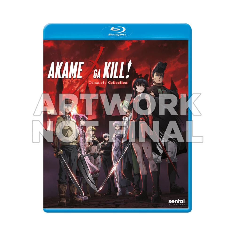 Akame Ga Kill Anime Night Raid Characters Premium Poster