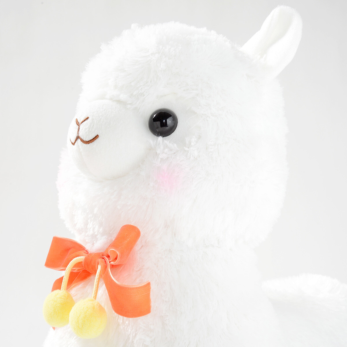 amuse collection alpacasso