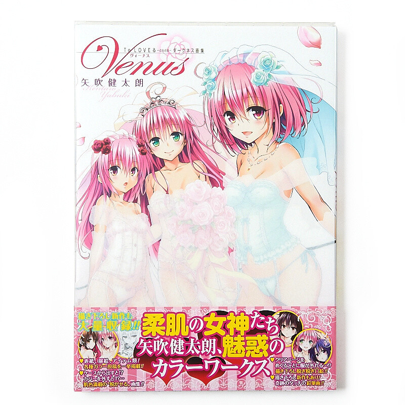 定番 【新品 未開封】To LOVEる―とらぶる―ダークネス画集Venus その他