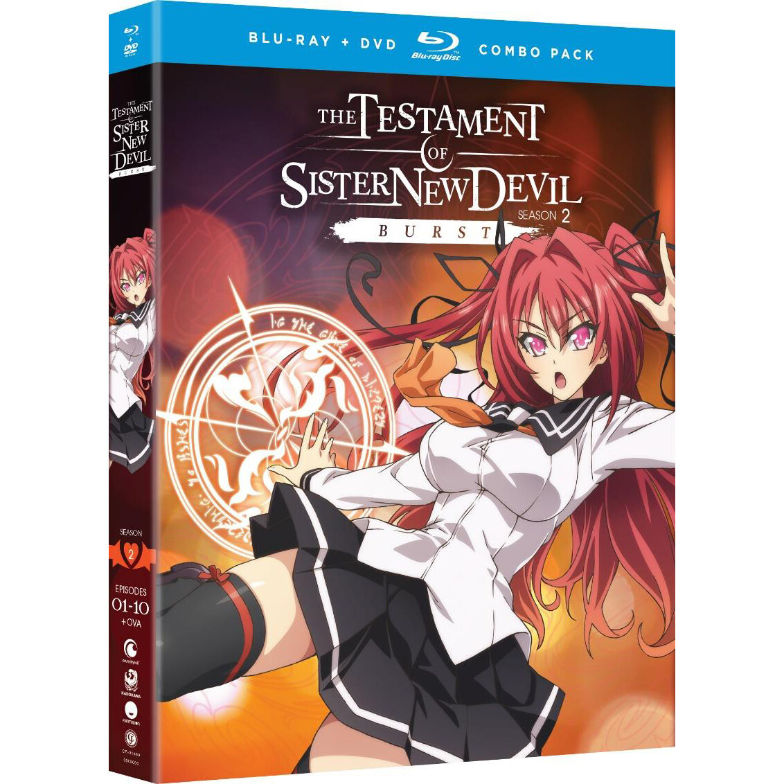 Anime Like The Testament of Sister New Devil BURST