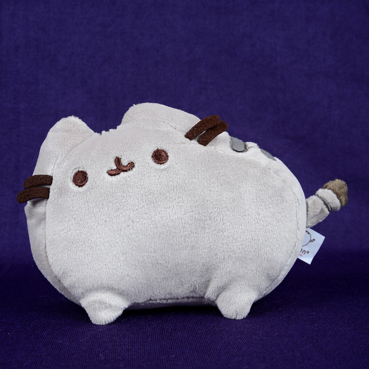 38 inch pusheen