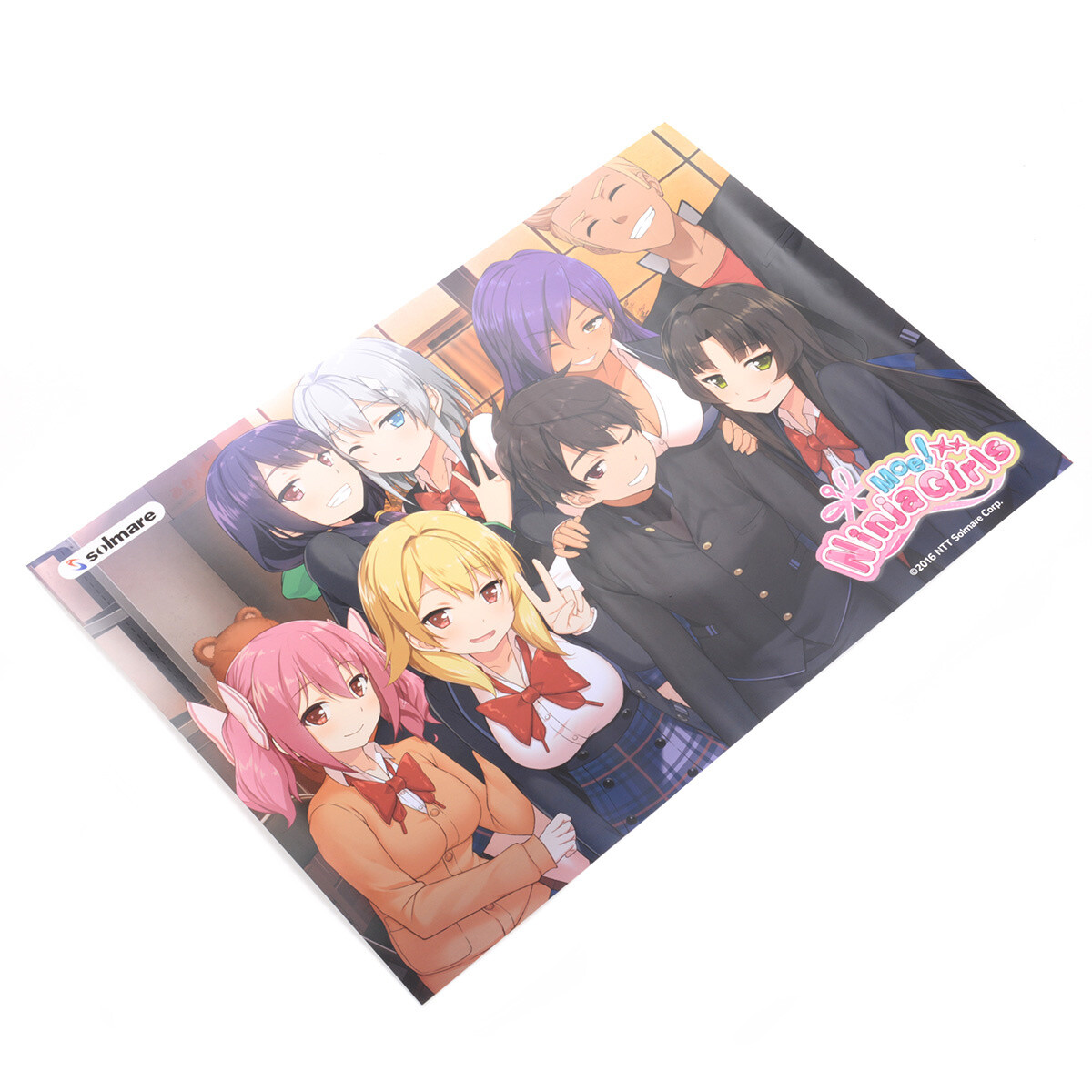 Moe! Ninja Girls Poster - Tokyo Otaku Mode (TOM)