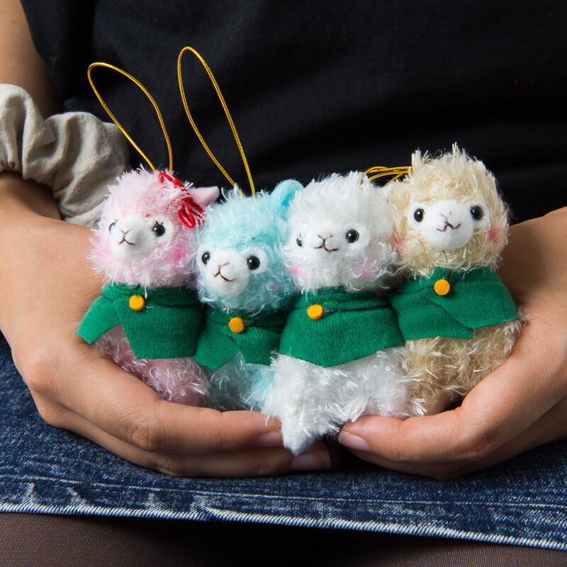 alpacasso corps