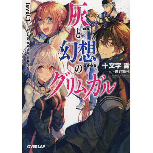Grimgar of Fantasy and Ash Vol.