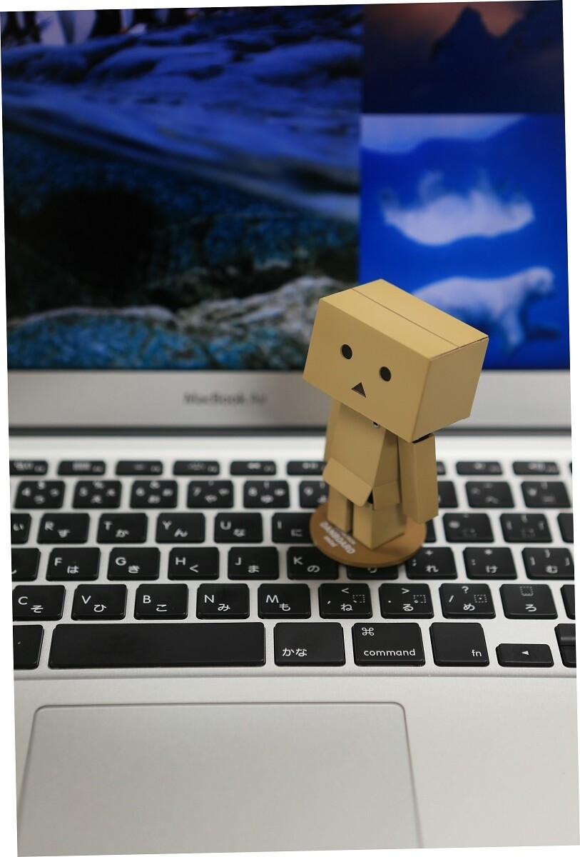 danboard revoltech