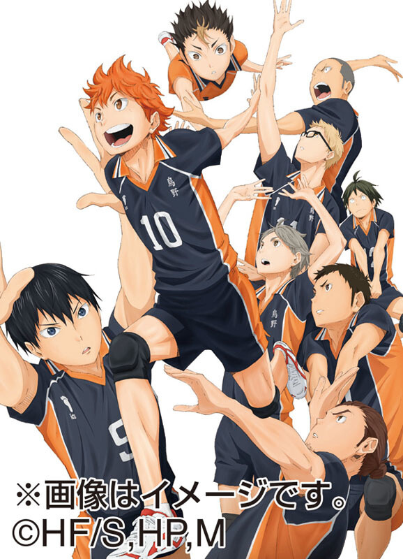 Haikyu 2015 Calendar Tokyo Otaku Mode TOM 