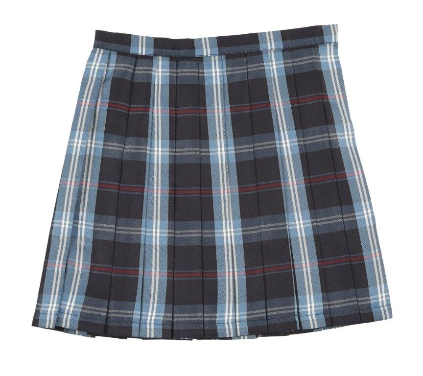 Teens Ever Navy Blue x Blue High School Uniform Skirt: Clearstone ...