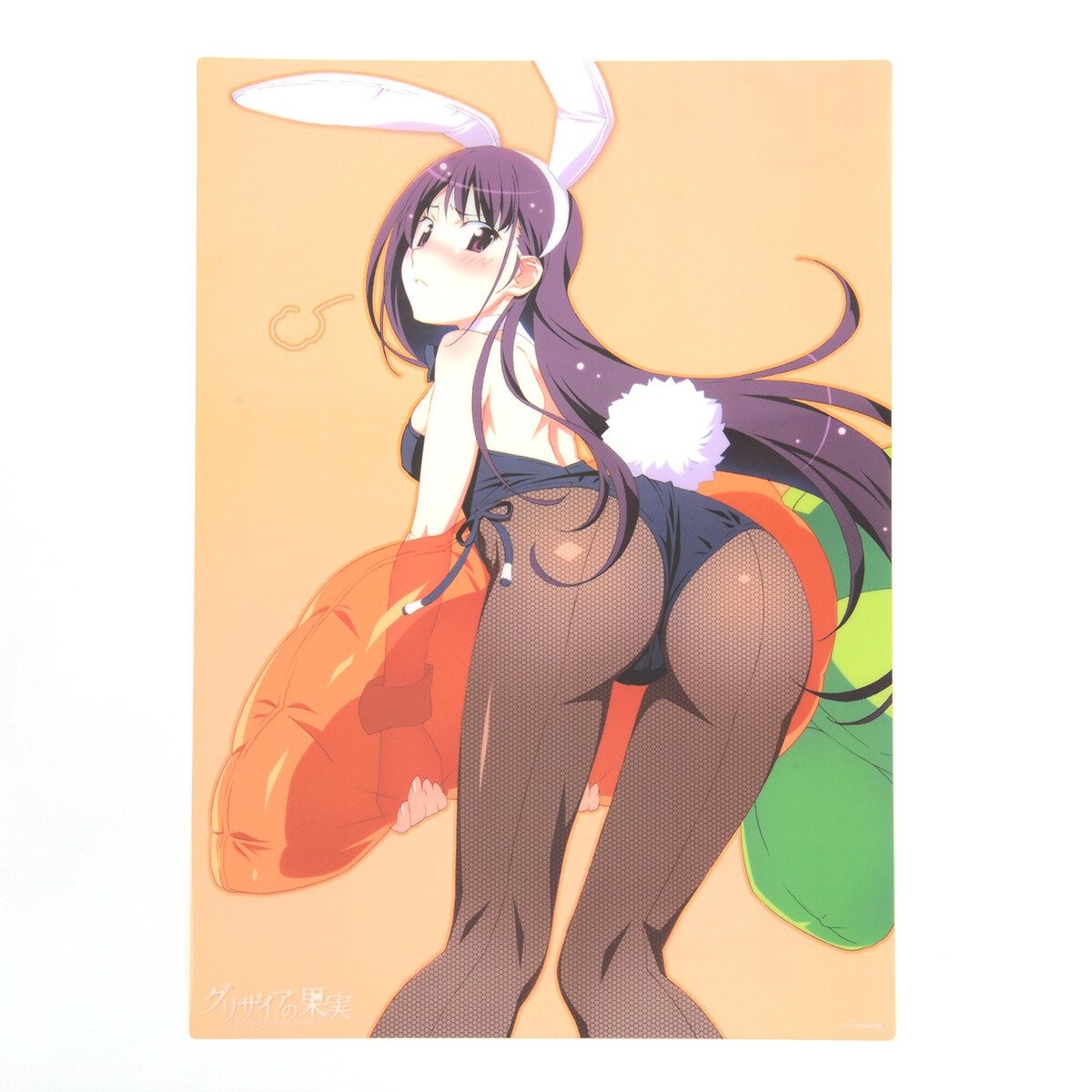 Le Fruit De La Grisaia Yumiko Sakaki A3 Clear Poster: Frontwing - Tokyo  Otaku Mode (TOM)